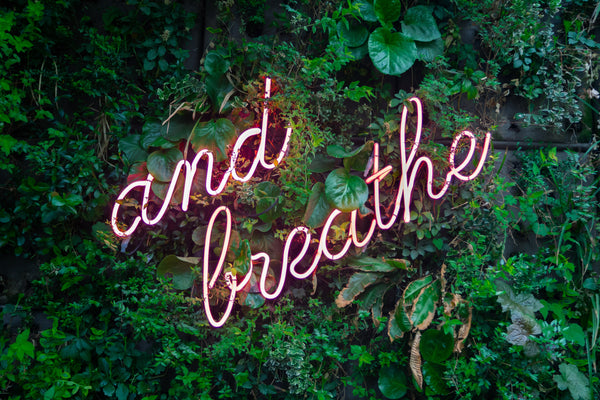 Sip and Unwind: The Importance of Incorporating Herbal Tea in Your Weekly Self-Care Routine